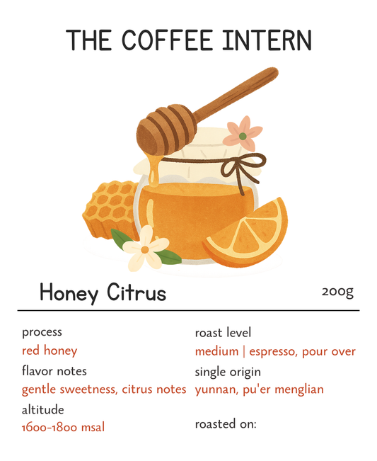 The Coffee Intern - Honey Citrus Yunnan Menglian Specialty Coffee Bean