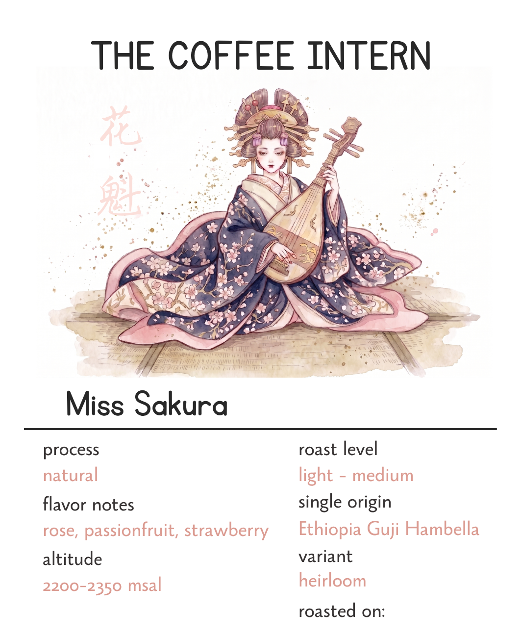 The Coffee Intern - Miss Sakura Guji Hambella Natural Ethopia Coffee Bean